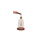 Gold Leaf Electroscope