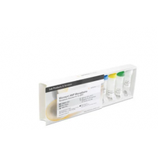 Mycoplasma Detection Kits