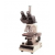 Research Trinocular Microscope