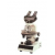 Binocular Research Microscope