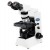 Binocular Microscope