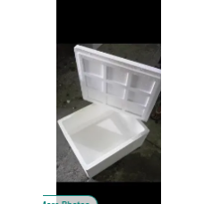EPS Thermocol Pharma Box