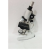 Conxport compound Microscopes