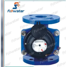 Flow Star Water Meter