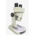 Stereo Microscopes