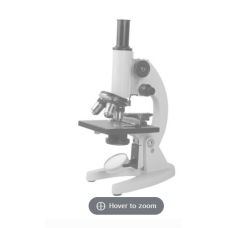 Compound Microscope