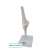 Elbow Joint