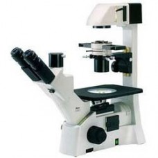 Inverted Microscope
