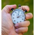 White Stop Watch