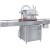 Automatic Liquid Bottle Filling Machine