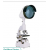 Projection Microscope