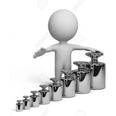 Standard Calibration Weights