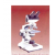 Microscopes System