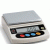Electronic Precision Balance