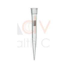Pipette Tips