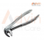 Dental Forceps