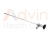 Rigid Cystoscope