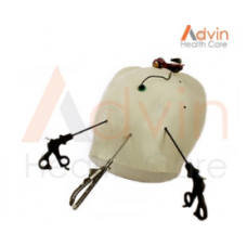 Gynecology Endotrainer SET