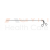 Hysteroscopy Forceps