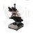 Trinocular Microscope