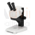 Stereo Microscope