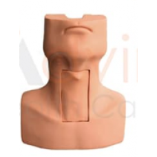 Tracheostomy Simulator