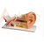 Human Ear Model