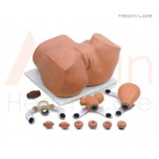  Gynecology Examination Model