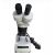Inclined Tube Microscope