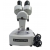Binocular Stereoscope Microscope