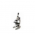 Compound Microscope