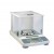 Analytical Balance