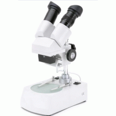 Dissecting Microscope