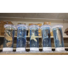 Botany And Zoology Laboratory Items