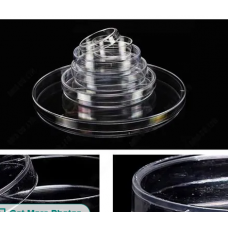 Culture Petri Dish