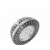 Oval LED Modules