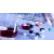 Molecular Biology Products