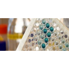 Cell Culture Products