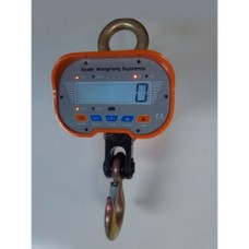  Remote Weighing System