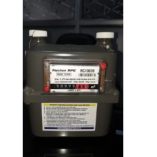 Raychem RPG Gas Meter