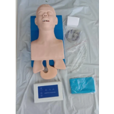 Trachea Intubation Model