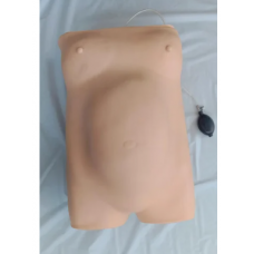 Advanced Maternity Model