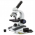 Binocular Microscope