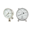 Differential Pressure Gauges