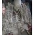 Human Skeleton Model Disarticulated