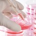 Tissue Culture Dishes