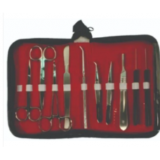 DISSECTING INSTRUMENT
