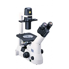 Inverted Microscropes