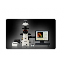 Stereozoom Microscopes