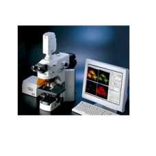 Confocal Laser Scanning Microscopes